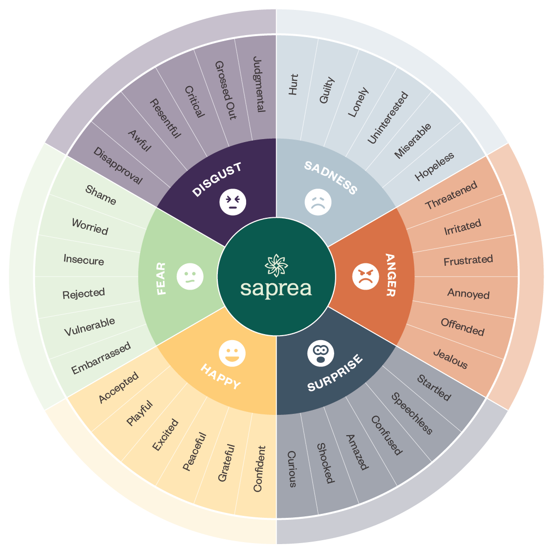 Graphic for the emotion wheel adapted for children.