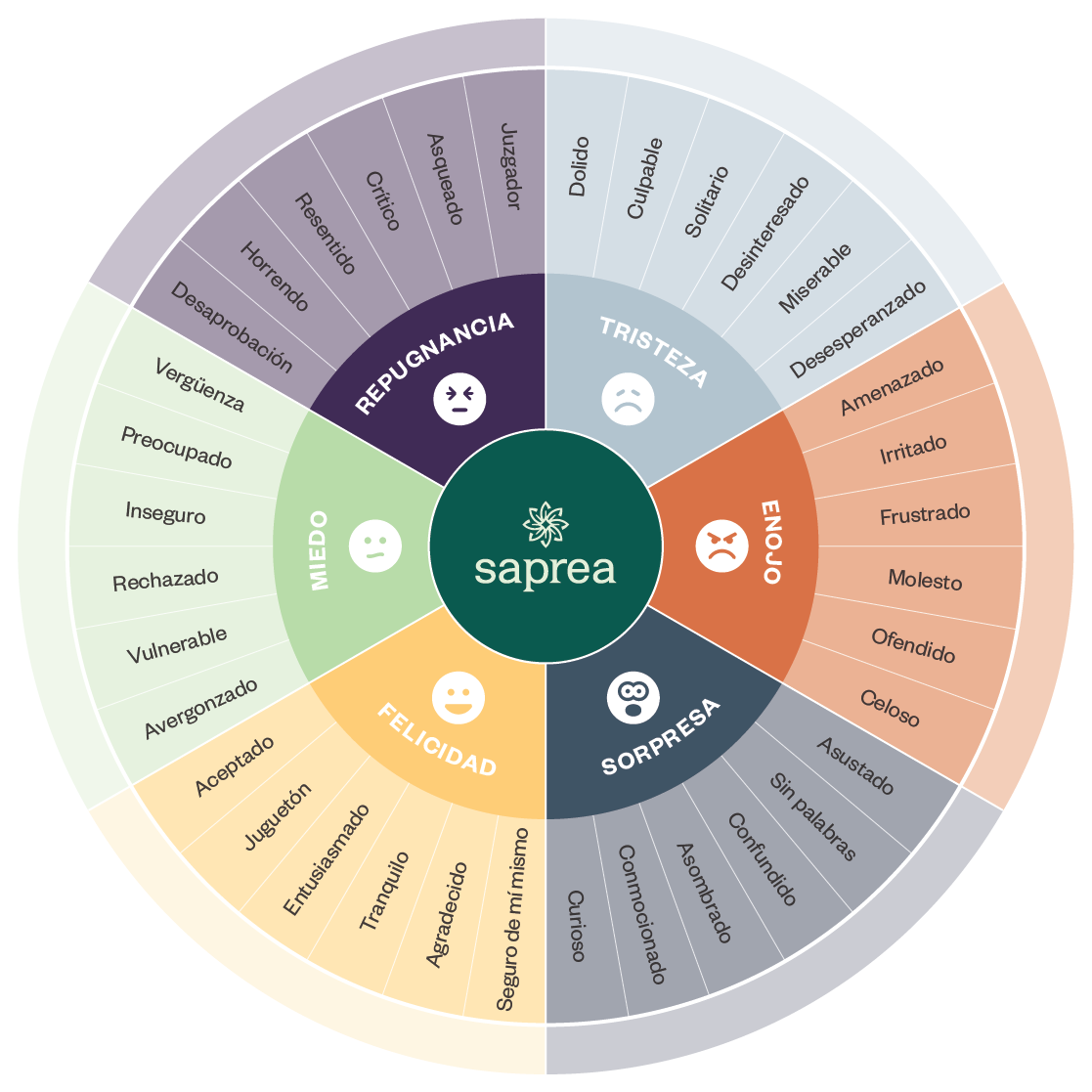Graphic for the emotion wheel adapted for children.