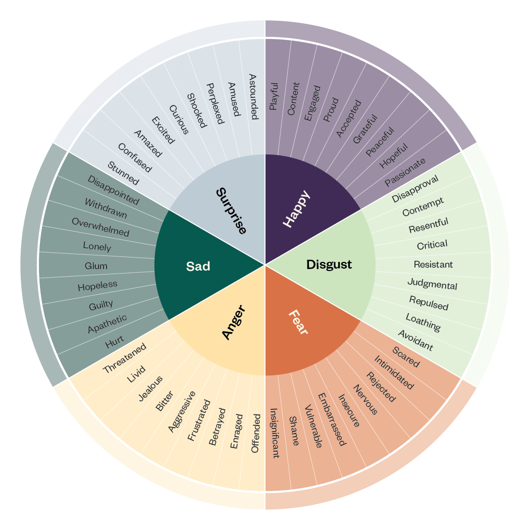 Circular graphic of the Emotion Wheel showing with color coding the emotions that coordinate with each other