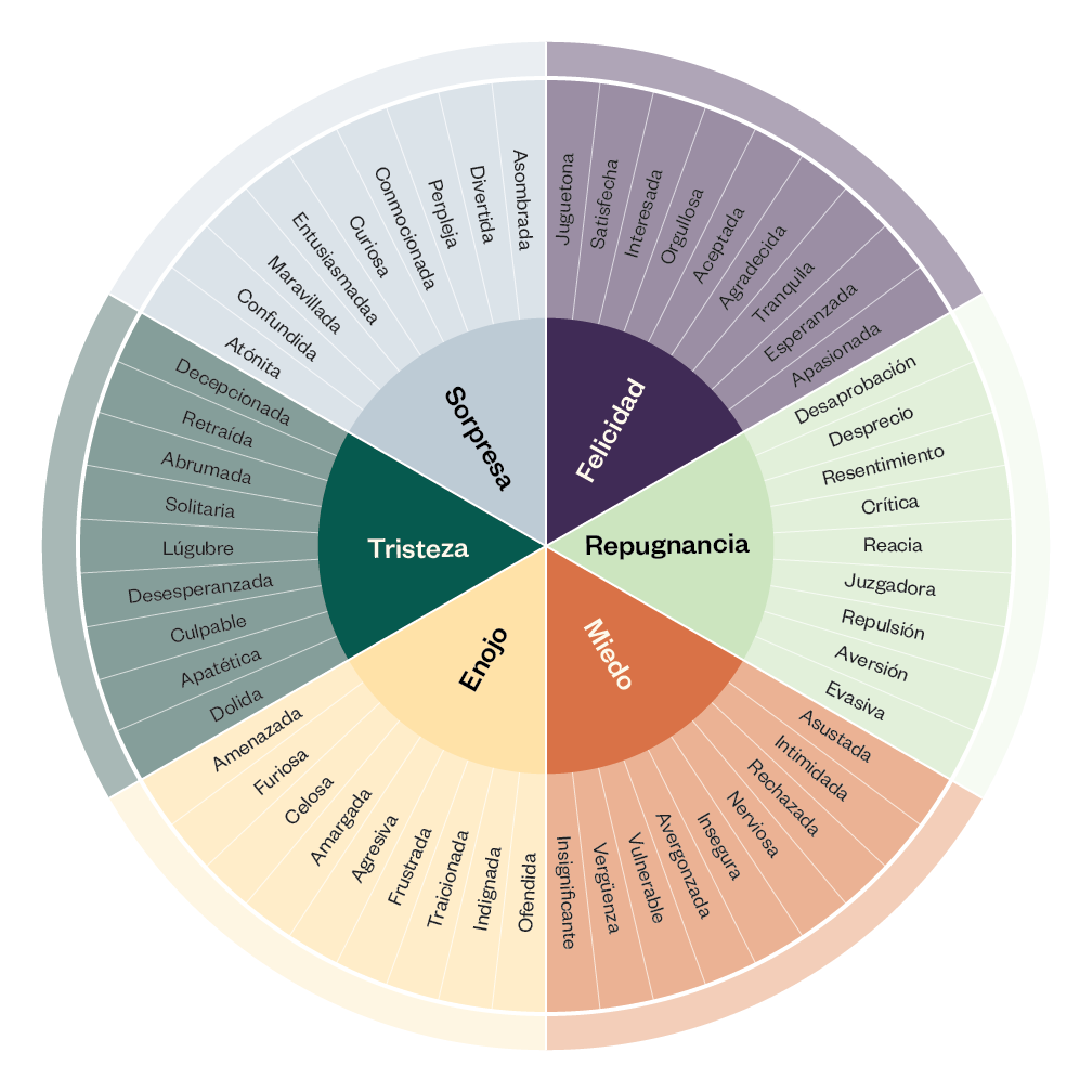 Circular graphic of the Emotion Wheel showing with color coding the emotions that coordinate with each other in Spanish